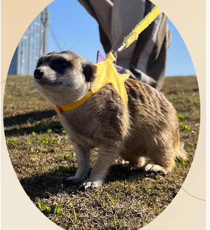 Ferret Harness and Leash Set Small Animals Vest Harness with Safe Bell Dinosaur Shaped Walking Clothes for Baby Rabbit Guinea Pig Teacup Chihuahua Mouse and Other Small pet (Yellow)