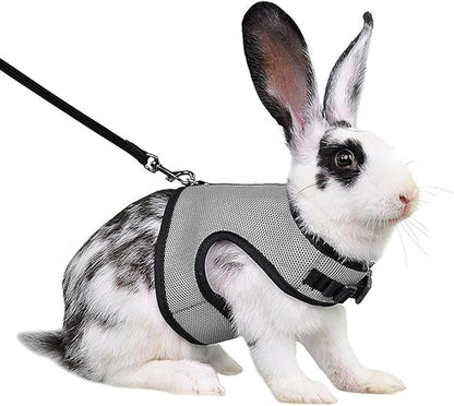 Bunny Harness and Leash Escape Proof,Rabbit Harness Vest Leash Set Mesh Walking Training for Small Animal Pets Rat Hamster Ferret Squirrel Chinchillas Guinea Pig Bunnies,Grey XL