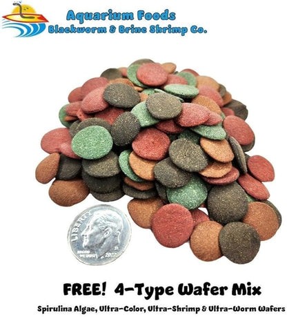 Aquatic Foods Inc. Crickets - Freeze-Dried All Natural Crickets for Large Fish, Reptiles, Turtles, Birds, Hamsters, Hedgehogs, Sugar Gliders, All Lizards…3.4oz Lg Round Jar