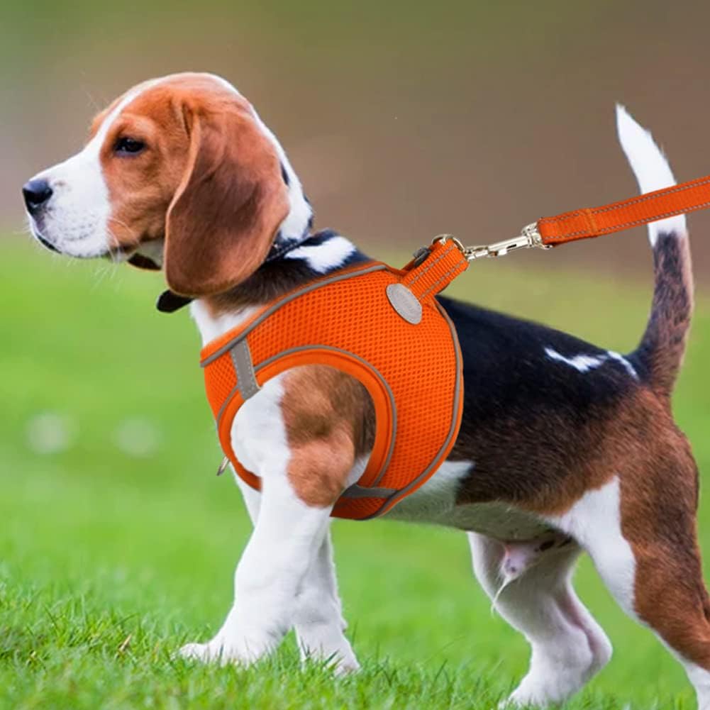 Joytale Small Dog Harness, Breathable Mesh Step-in Vest, Reflective Soft Padded Harnesses for Medium Dogs, Orange, XL