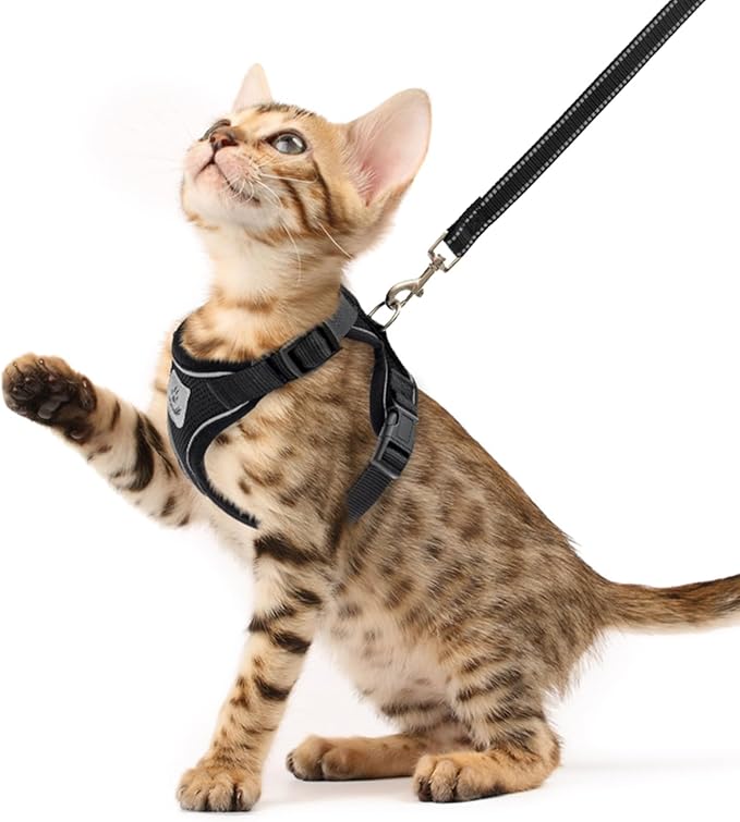 PUPTECK Cat Harness and Leash Set Escape Proof Reflective Cat Walking Harness Adjustable Soft Breathable Mesh Vest for Small Pets, Black, XS
