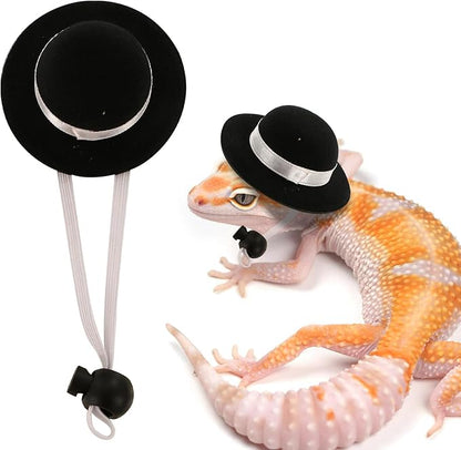 Bearded Dragon Leash and Harness Set, 3 Size Adjustable Soft Leather Lizard Leash Training Walking Prevent Escape, Spring Can be Stretched to 3m, for Iguana Squirrels Small Reptiles Outdoors (Black)