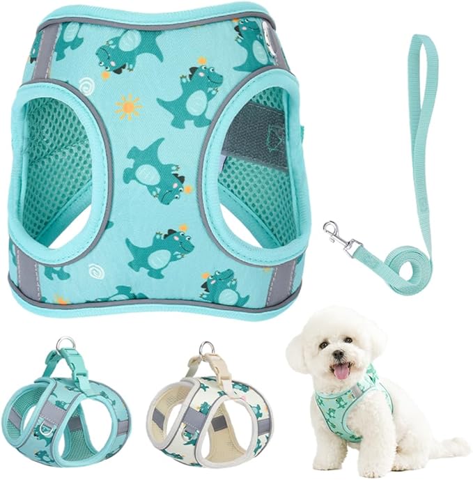 Step in Dog Harness and Leash Set, Flower Adjustable Easy Walk Puppy Harnesses, Soft Mesh No Pull Pet Vest Harness for Small Dogs and Cats(Green, XS)