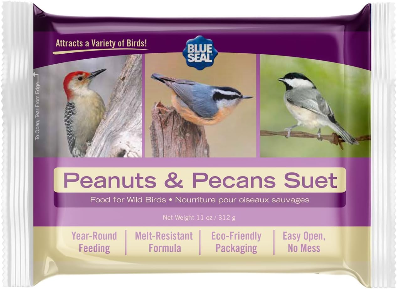 Blue Seal Peanuts & Pecans Suet Cake | Suet Cakes for Wild Birds | Melt Resistant | Year-Round Feeding | Food for Wild Birds | Made in The USA | 12 oz Suet Cakes (12 Pack)