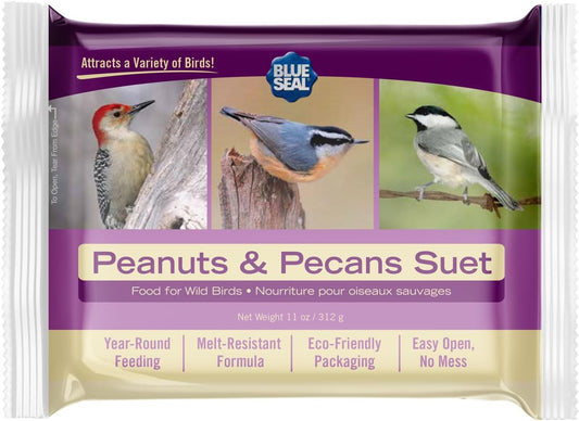 Blue Seal Peanuts & Pecans Suet Cake | Suet Cakes for Wild Birds | Melt Resistant | Year-Round Feeding | Food for Wild Birds | Made in The USA | 12 oz Suet Cakes (12 Pack)