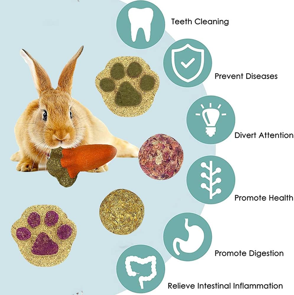 16PCS Guinea Pig Toys, Rabbit Play Balls Rolling, Teeth Care Molar Toys for Hamster Rabbit Guinea Pig Rats Gerbils Hamster Chinchilla Etc