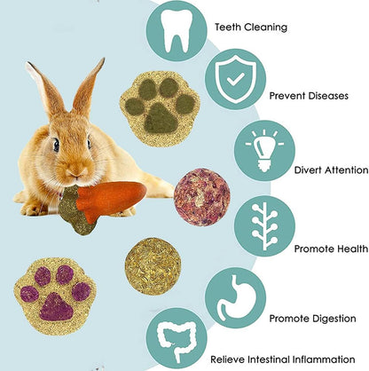 16PCS Guinea Pig Toys, Rabbit Play Balls Rolling, Teeth Care Molar Toys for Hamster Rabbit Guinea Pig Rats Gerbils Hamster Chinchilla Etc