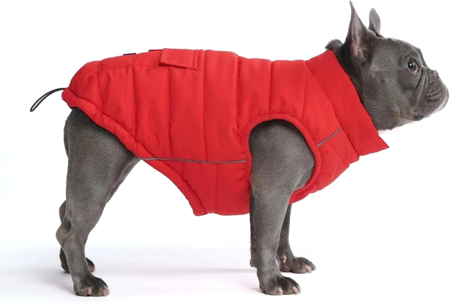 Spark Paws Dog Winter Jacket, Water-Resistant Coat, Warm Reflective Windproof Fleece-Interior, for Medium and Large Dogs - Red - XL