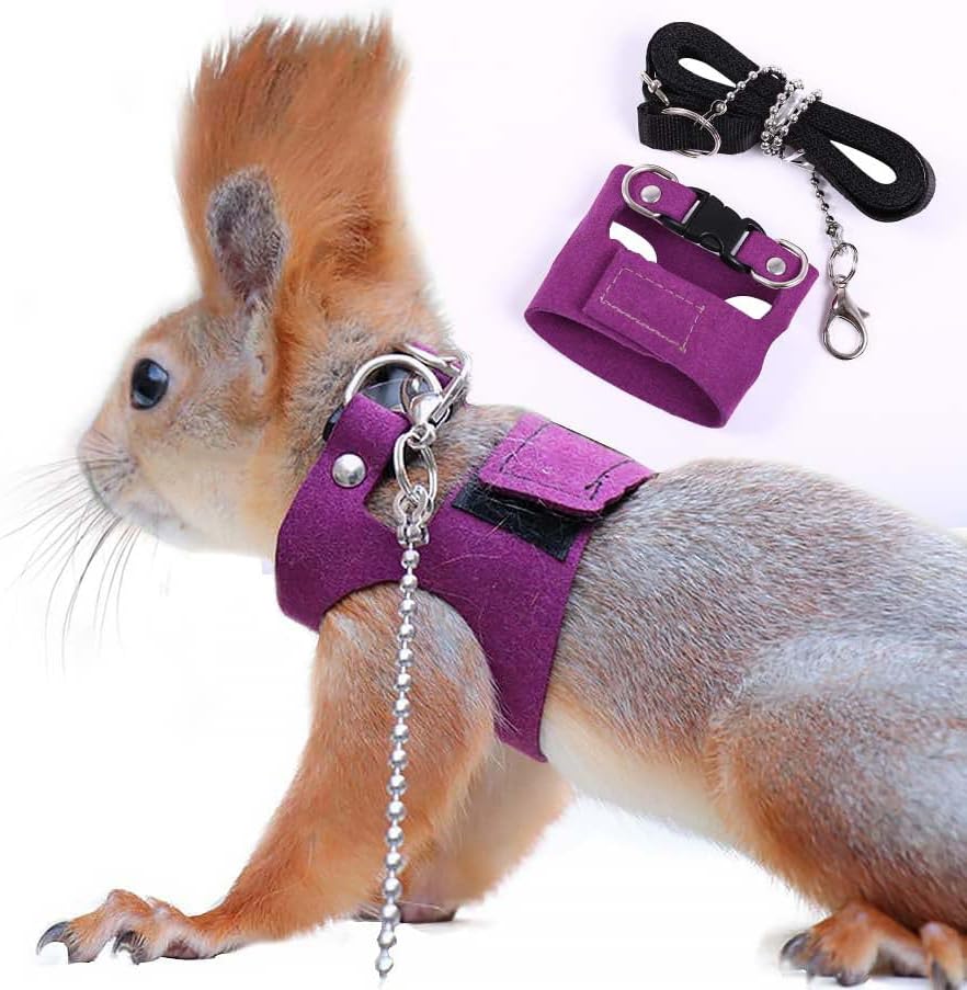 Squirrel Traction Rope Strap Anti-Biting Chain Rope, Adjustable Vest, Small Animal Walking Harness with Lead Leash, Hamster Gerbil Rat Mouse Ferret Chinchilla Small Animal Walking Leash