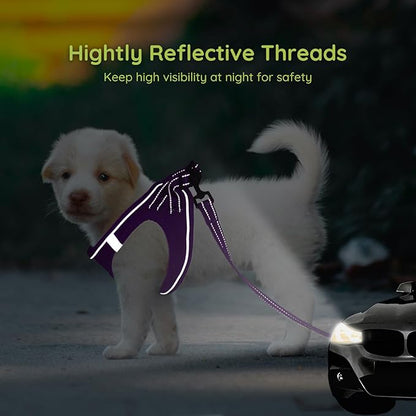 BELLA & PAL Step in Vest Harness for Small and Medium Dogs, No Pull Small Dog Harness with Leash Set, Comfortable Air Mesh Dog Vest Harness with Reflective Strip (Grape Purple, M)