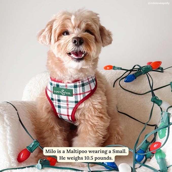 Lucy & Co. Cute Reversible Dog Harness Walking Halter - Best Designer Pet Harnesses for XS - XL Dogs - Padded Adjustable Vest for Easy Walking-XLarge-Gray & White Snowman