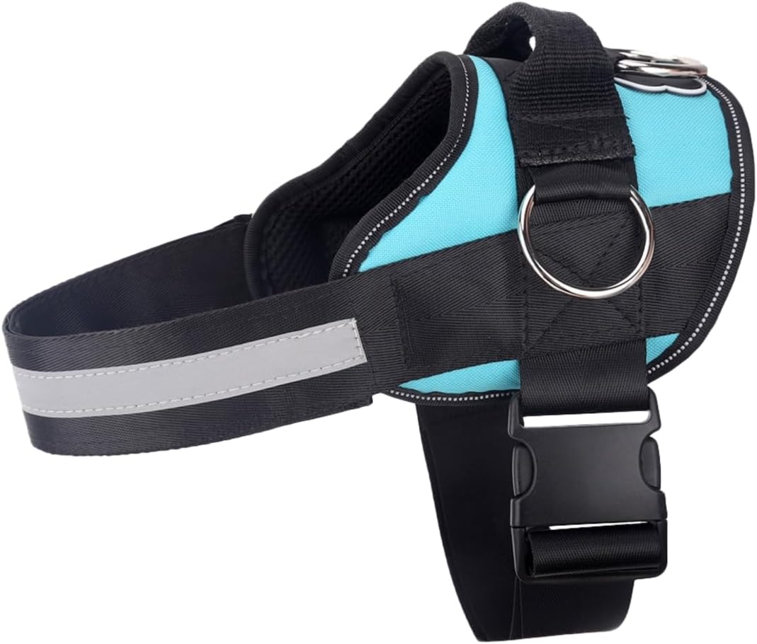 Joyride Basic Essential Dog Harness 1.0 - Small, Medium, Large Dogs, No-Pull Pet Vest with 3 Side Rings for Leash Placement, Adjustable for Training (Teal Ocean, 2XL)