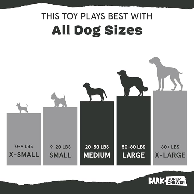 Barkbox Super Chewer Tough Dog Chew Toys for Aggressive Chewers, Dental Stimulating (Radius - Large)