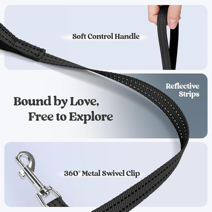 rabbitgoo Dog Harness Small Sized and Leash Set, Step in Soft Light Puppy Vest, Breathable Mesh Pet Harness, Reflective for Outdoor Safe Walking, Black XXL