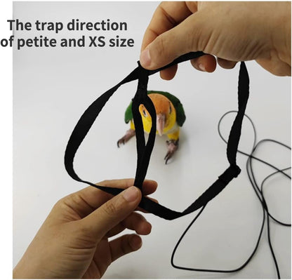 Adjustable Bird Harness with 78.7 Inch Leash, Outdoor Flying Training Rope Kit for Bird Parrots, Parrot Flying Rope Straps Outdoor Training Traction Rope for Small Medium Large Size Birds (Petite)