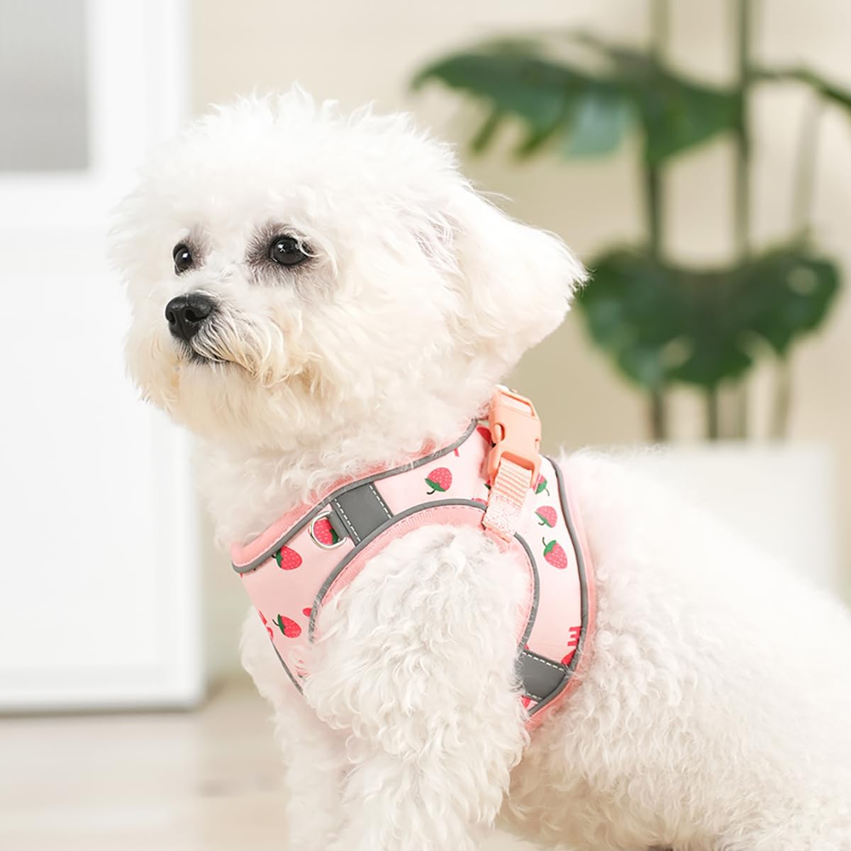 Step in Dog Harness and Leash Set, Flower Adjustable Easy Walk Puppy Harnesses, Soft Mesh No Pull Pet Vest Harness for Small Dogs and Cats(Strawberry, XXS)