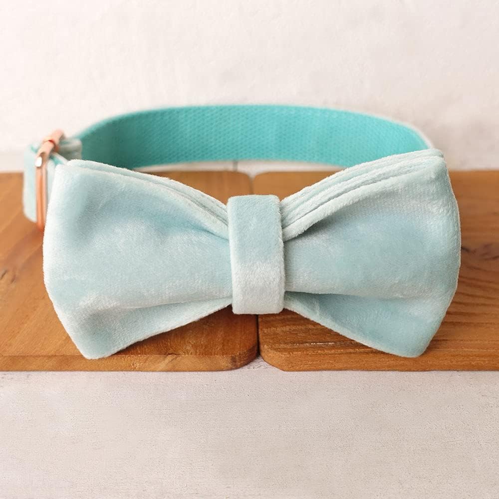 PETDURO Custom Dog Collar Personalized with Name Engraved Quick Release Rose Gold Metal Buckle for Large Medium Small Girl Dogs - Dog Leash and Bow Tie Available - Soft Comfy Velvet (Mint Blue, S)