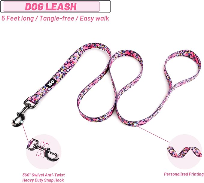 QQPETS Dog Harness Leash Set Adjustable Heavy Duty No Pull Halter Harnesses for Small Medium Large Breed Dogs Back Clip Anti-Twist Perfect for Walking