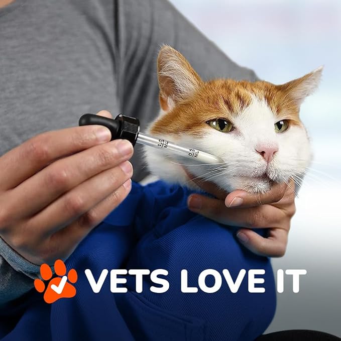 Cat-in-the-Bag Cozy Comfort Carrier - Large Cobalt Blue Cat Carrier Soft for Grooming, Vet Visits, Medication Administration, Dental Care, Nail Trimming, and Car Travel