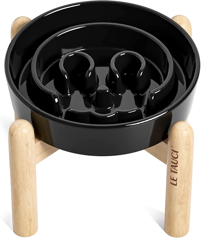 LE TAUCI Ceramic Slow Feeder Dog Bowls Elevated, 0.6 Cups Raised Dog Bowl with Wooden Stand for Small Breed, Pet Dishes to Slow Down Eating, Skull Black