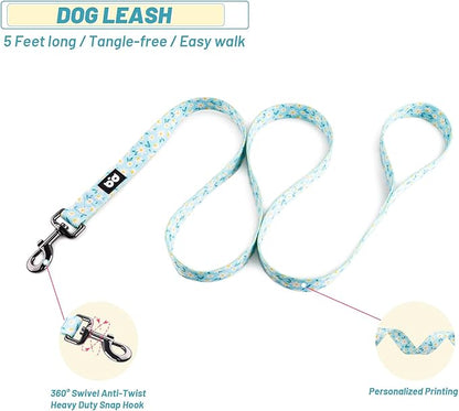 QQPETS Dog Harness Leash Set Adjustable Heavy Duty No Pull Halter Harnesses for Small Medium Large Breed Dogs Back Clip Anti-Twist Perfect for Walking