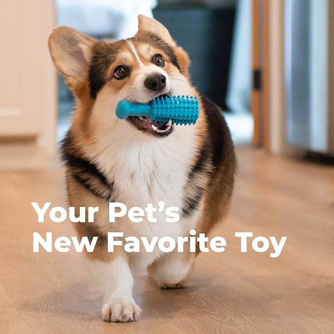 Oxyfresh Dog Dental Chew Toy - Best Durable Rubber Dog Toy & Puppy Teething Toy - Helps Remove Plaque, Cleans Teeth & Freshens Breath Without Brushing (Small) (Pack of 2)