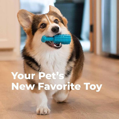 Oxyfresh Dog Dental Chew Toy - Best Durable Rubber Dog Toy & Puppy Teething Toy - Helps Remove Plaque, Cleans Teeth & Freshens Breath Without Brushing (Small) (Pack of 2)