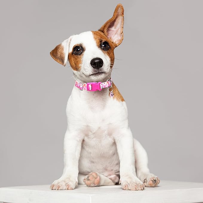 Pink Floral Small Dog Collar with Bell, Pretty Cute Flower Cat Collar Girl Puppy Collars with Bells for XS Small Tiny Pet Female Dogs Kitten Little Animal, S