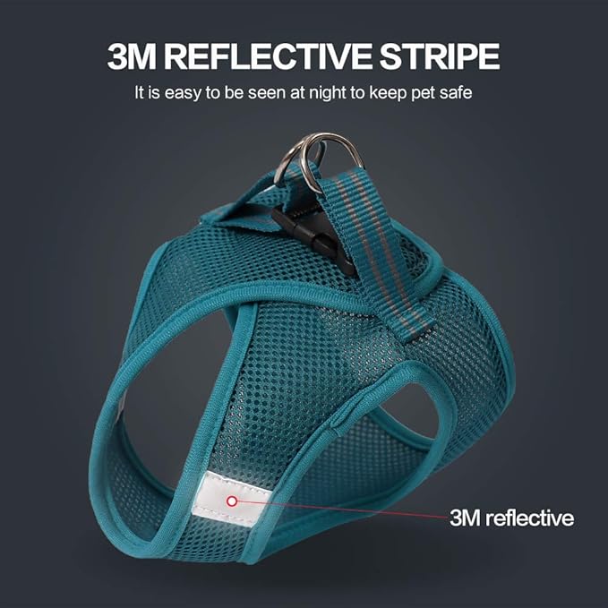 HEYWEAN Cat Harness and Leash - Ultra Light Escape Proof Kitten Collar Cat Walking Jacket with Running Cushioning Soft and Comfortable Suitable for Puppies Rabbits