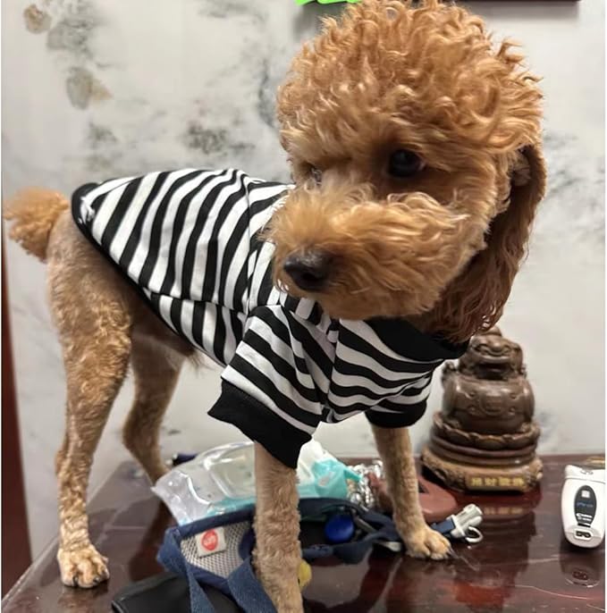 Autumn Dog Hoodies with Leash Ring Warm Striped Puppy Shirt for Small Dog Girl Boy Cat Sweater Winter Pet Clothes Pomeranian Chihuahua Cold Weather Coat (Large, Black)