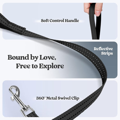 rabbitgoo Dog Harness Small Sized and Leash Set, Step in Soft Light Puppy Vest, Breathable Mesh Pet Harness, Reflective for Outdoor Safe Walking, Black XXXS