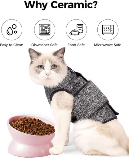 LoeJan Elevated Cat Food Bowl, 5 Oz Ceramic Raised and Tilted Water Bowl, Anti Vomiting and Protect Pets' Spines Dishes for Small Dog, Fat Faced Cat, Kitten (Pink, 2 Pack)