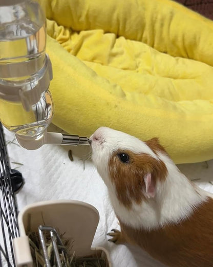 Leak-Proof Small Animal Water Bottle for Chinchillas, Birds, Hamsters, Guinea Pigs, Rabbits and Other Small Pets. (White, 8.12oz)