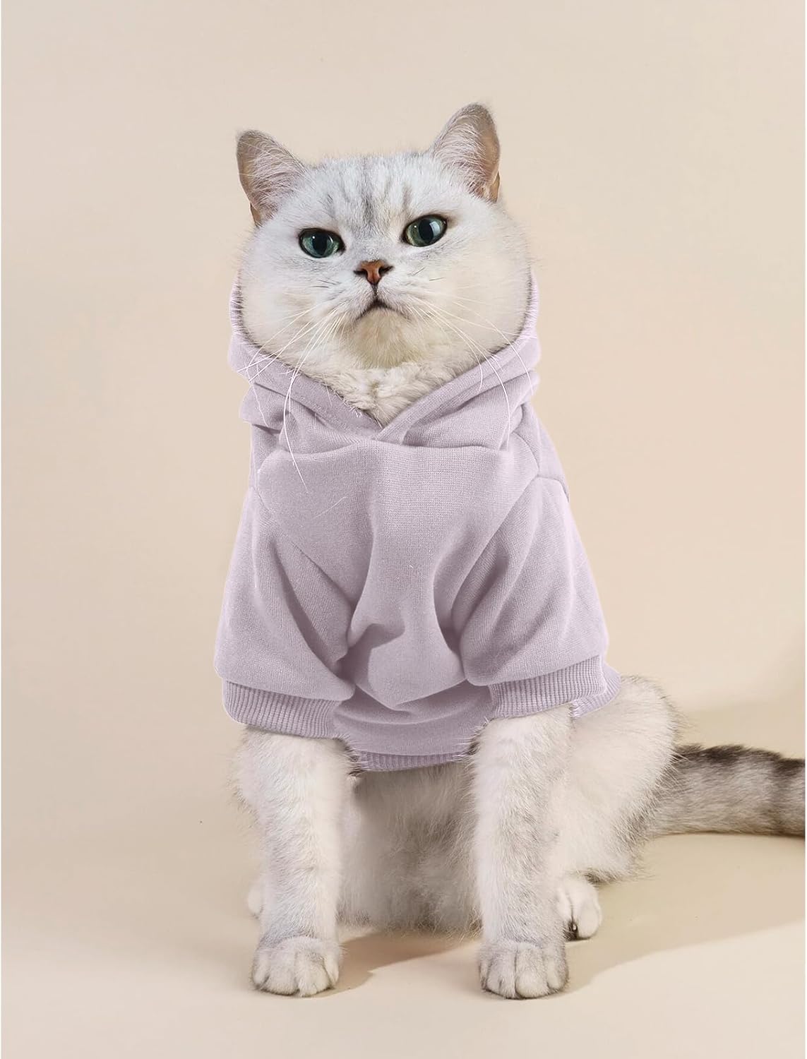 Cat Hoodies for Cats Puppy Pet Clothes Cat Apparel Little Miss Attitude Print Dog Hoodie for Small Medium Dogs Outfits for Kittens(Purple,M)
