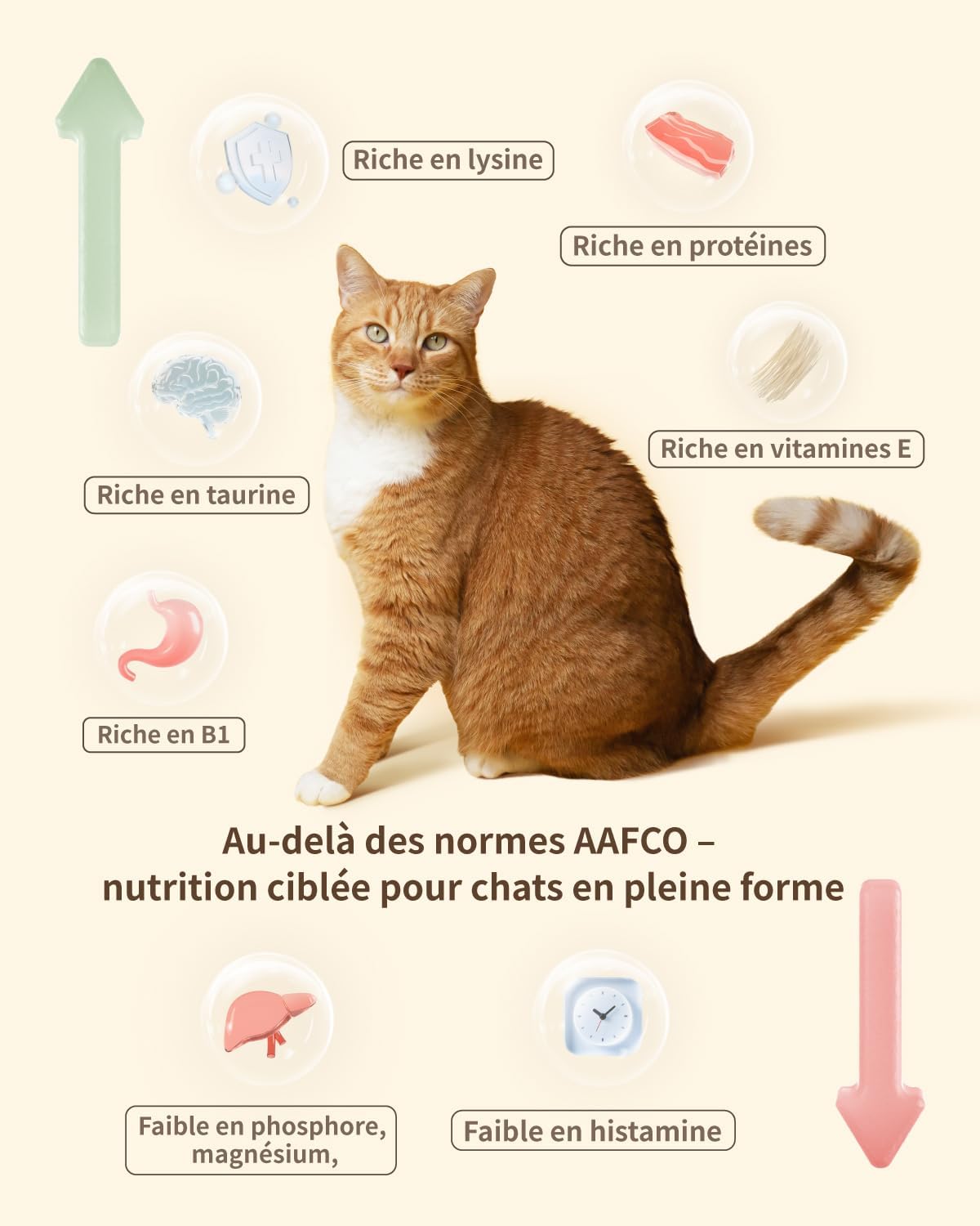 Freeze-Dried Cat Food, 97% Animal Origin Soft Dry Food for Cats Kitten, High Protein Healthy Freeze Dried Cats Raw Treat & Topper (Chicken & Duck - 14 Ounce)