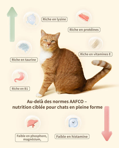 Freeze-Dried Cat Food, 97% Animal Origin Soft Dry Food for Cats Kitten, High Protein Healthy Freeze Dried Cats Raw Treat & Topper (Rabbit Recipe - 14 Ounce)