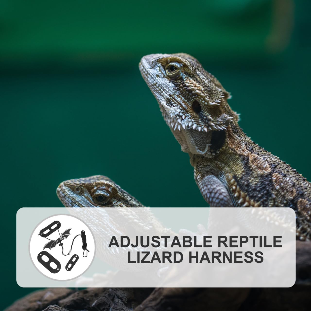 BESPORTBLE Leopard Gecko Accessories Lizard Harness Pet Hauling Cable Reptile Lizard Harness Small Animals Leashes