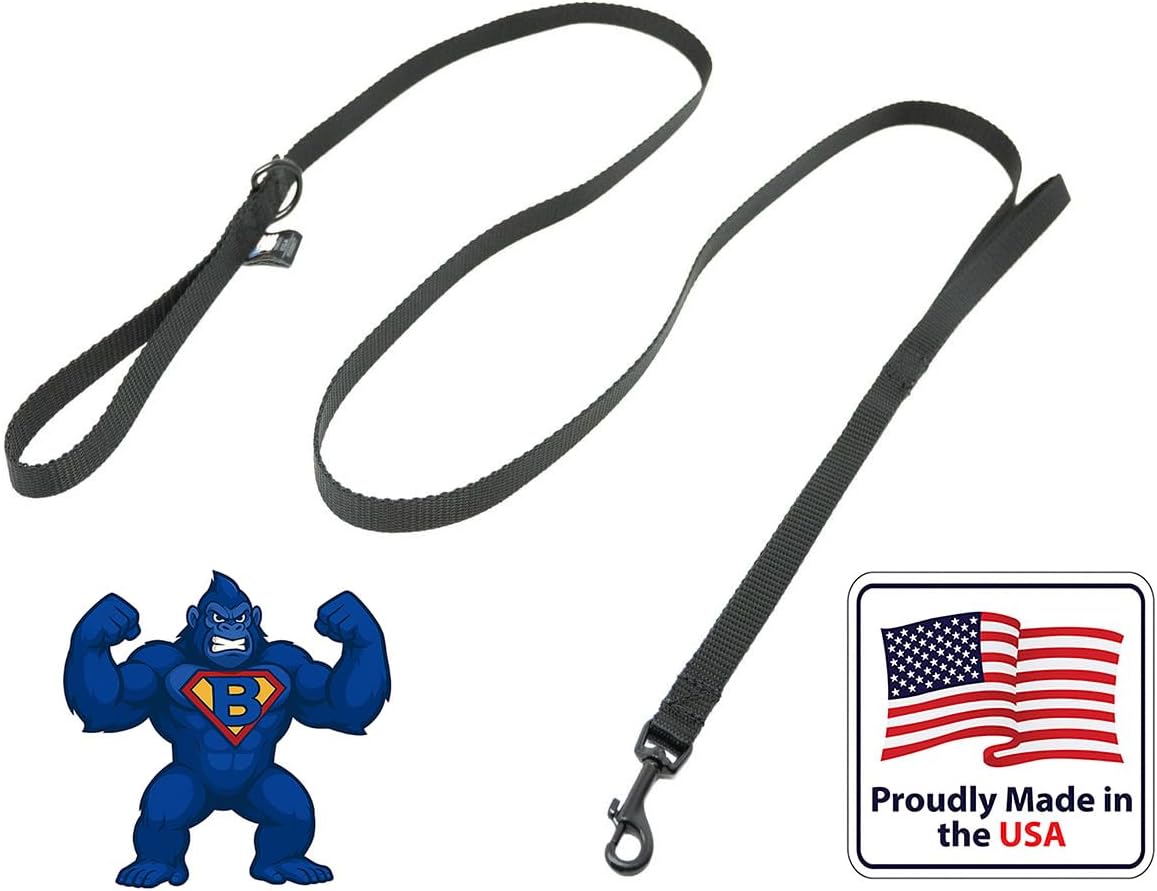 Dog Leash for Teacup Toy Minature and Small Dogs Primary & Traffic Handle The Bulk Multiple Sizes & Colors 5/8” Width Nylon Proudly Made in The USA (Black, 6 Foot)