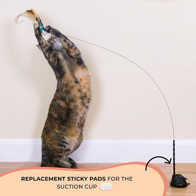 Whiskertons Interactive Bird Simulation Cat Toy Set, Interactive Cat Toys for Indoor Cats, Cat Feather Toy, Self-Holding Suction Cup, 5 Catnip Birds, Feathers, Bells (Catnip Hybrid Bundle)