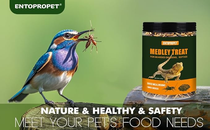 Dried Mealworms and Dried Crickets - Higher in Calcium and Richer in Protein-A Premium Medley Treat Food for Bearded Dragons,Turtle, Birds & Tropical Fish, 3oz
