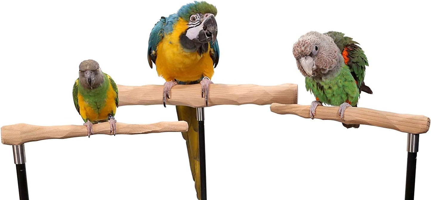 Parrot Training Perch Kit (Standard, Small)