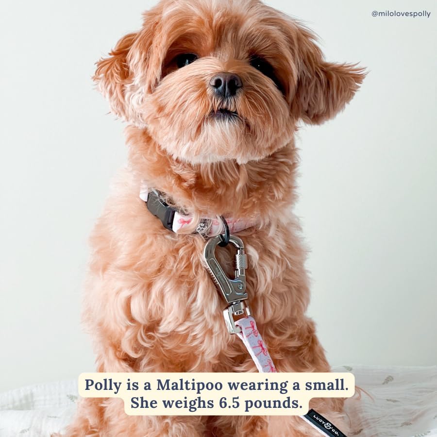 Lucy & Co. Designer Dog Leash - Pet Accessories - Thick Dog Leash - Padded Handle for Comfort - Ballet Bows - 5 Foot (White & Pink Bows, Small)