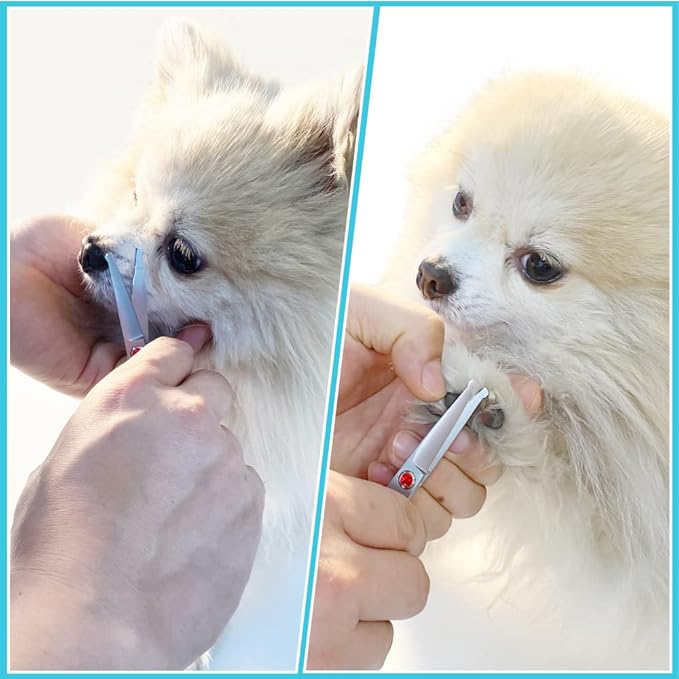 4.5" Straight Dog Scissors for Grooming Face and Paws with Safety Round Tip for Small Dogs Cats Face Paw Ears Trimmer Cat Grooming Scissors(4.5" Straight, Gray)