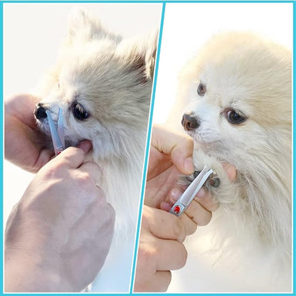 4.5" Straight Dog Scissors for Grooming Face and Paws with Safety Round Tip for Small Dogs Cats Face Paw Ears Trimmer Cat Grooming Scissors(4.5" Straight, Gray)