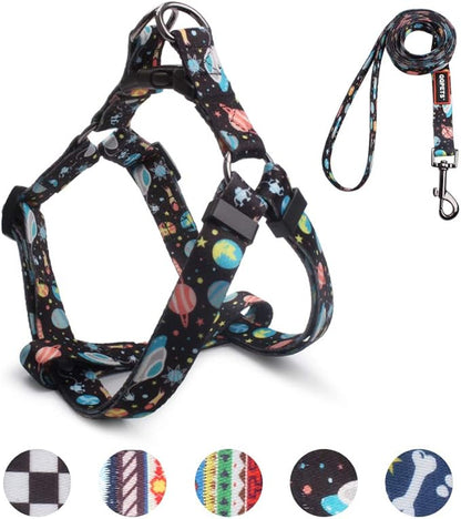 QQPETS Dog Harness Leash Set Adjustable Heavy Duty No Pull Halter Harnesses for Small Medium Large Breed Dogs Back Clip Anti-Twist Perfect for Walking (XS(12"-18" Chest Girth), Space)