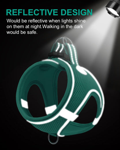 Joytale Small Dog Harness, Breathable Mesh Step-in Vest, Reflective Soft Padded Harnesses for Cats and Puppies Dogs, Teal, XXXS