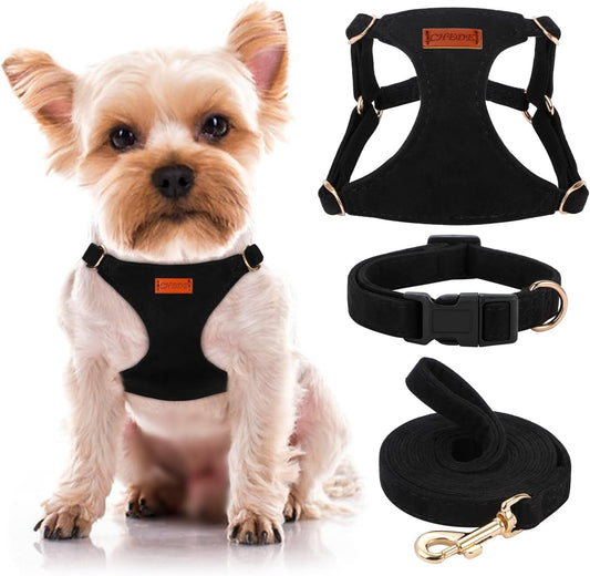 No Pull Dog Harness- Lightweight, Soft, Adjustable Small Harness Collar and Leash Set, Suitable for Cats Puppy Small and Medium-Sized Dog Outdoor Training and Running (Black, XXS)