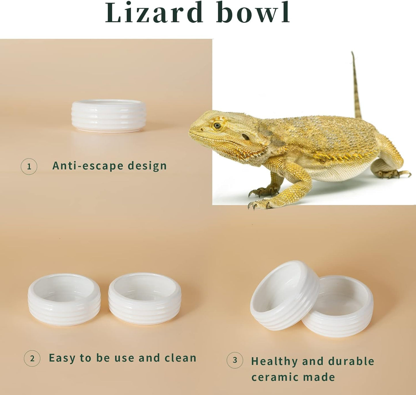 Reptile Food Bowls Ceramic Mini Round Reptile Water Food Dish, Pet Food Bowl for Lizards, Small Snakes, Young Bearded Dragons, Gecko Tortoise Spider (White, Small-2Pack)