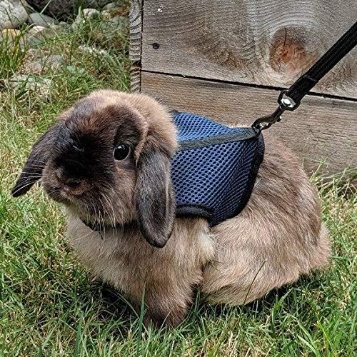 PETTOM Bunny Rabbit Harness with Stretchy Leash Cute Adjustable Buckle Breathable Mesh Vest for Kitten Small Pets Walking (Blue,L)