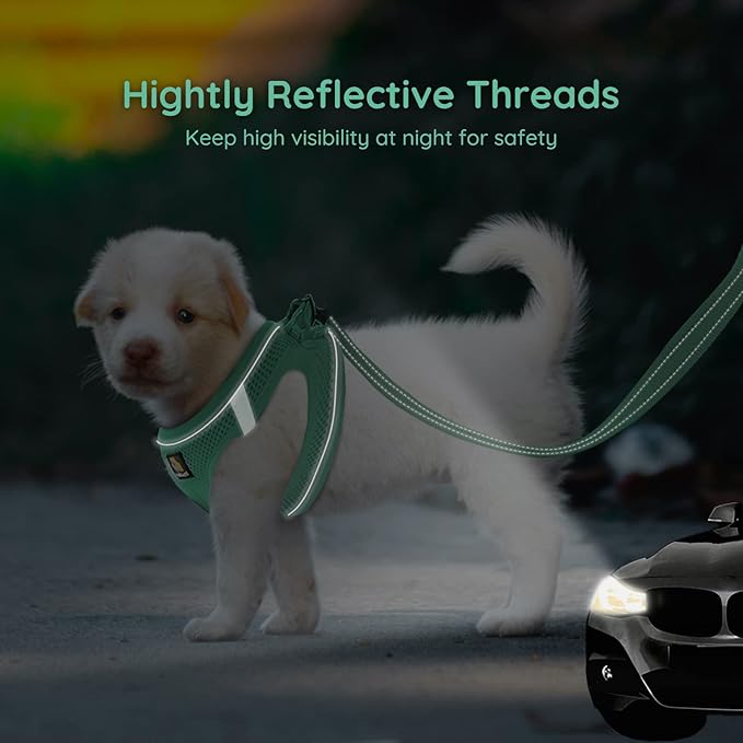 BELLA & PAL Step in Vest Harness for Small and Medium Dogs, No Pull Small Dog Harness with Leash Set, Comfortable Air Mesh Dog Vest Harness with Reflective Strip (Emerald, M)